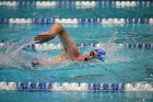 Swimming vs USCGA  Wheaton College Swimming & Diving vs US Coast Guard Academy. - Photo By: KEITH NORDSTROM : Wheaton, Swimming, Diving